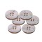 12 Pieces Faux Mermaid Shell Buttons 21mm 7/8", Clear Plastic 4-Hole Sewing Buttons